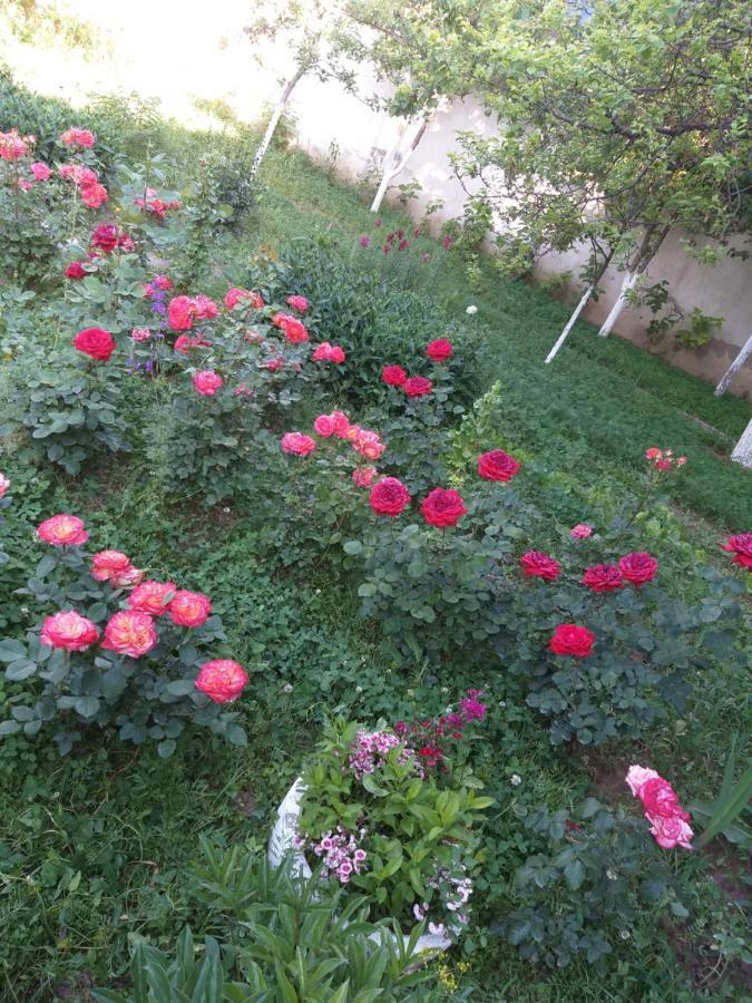 Ostello Shymhostle Shymkent Esterno foto