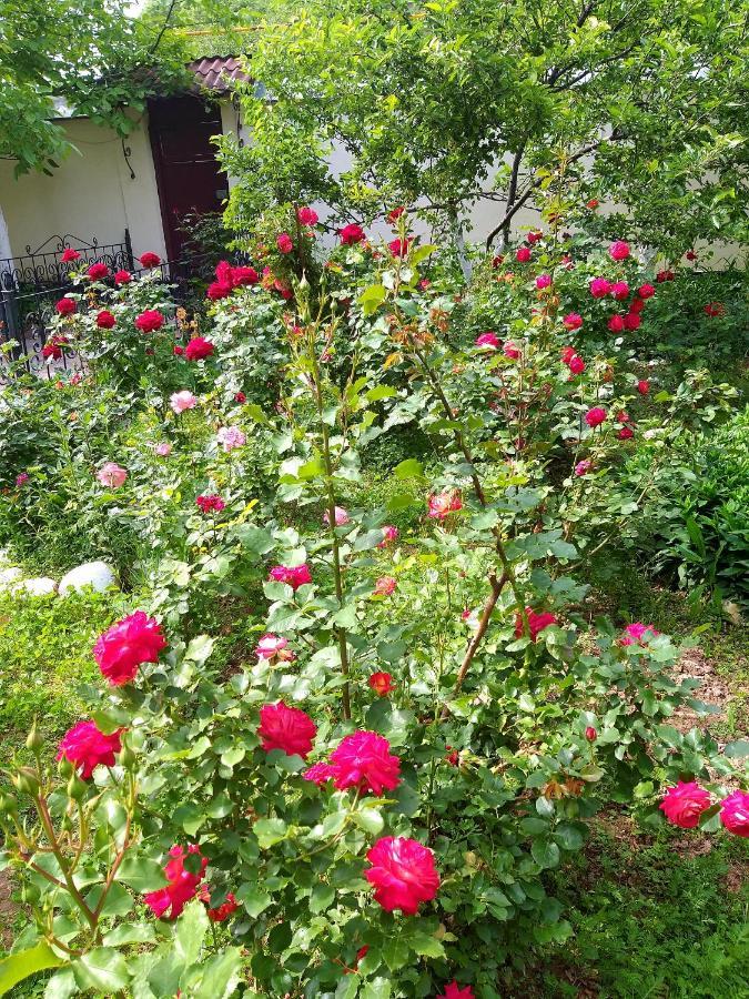 Ostello Shymhostle Shymkent Esterno foto